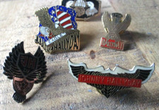 Johnny Hallyday-Série pins émaillés, collectors-Thème Johnny et l aigle-