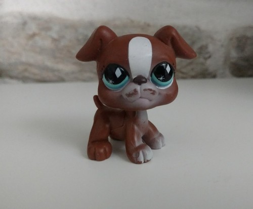 Petshop chien boxer - chien,
