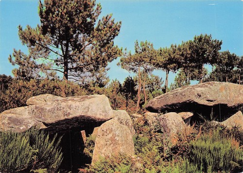 Carnac dolmens gromelech - 56,