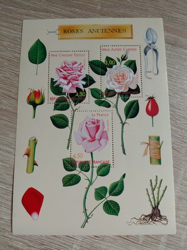 Bloc timbres roses - bloc, de