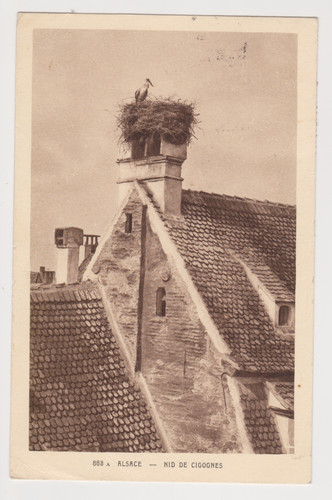 Cpa alsace nid de cigognes - cpa,