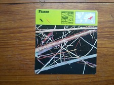 PHASME CARAUSIUS MOROSUS  Carte collection 1975 fiche animal lobby card 