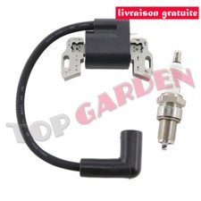 Bobine d'allumage pour Briggs