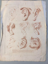 Belle Gravure Curiosité Nez