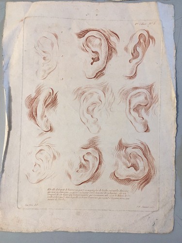 Belle gravure curiosité nez - gravure,