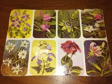 Images. LES FLEURS HEMMERLIN