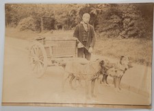 TIRAGE PHOTO Albumine	Belgique	Homme et charette à chien	12X17cm	1880