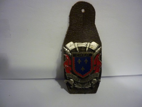 Insigne pucelle sapeurs - insigne,