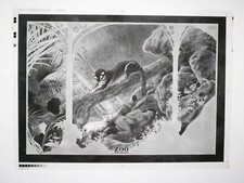 XL26 Film imprimerie FRANCK PE