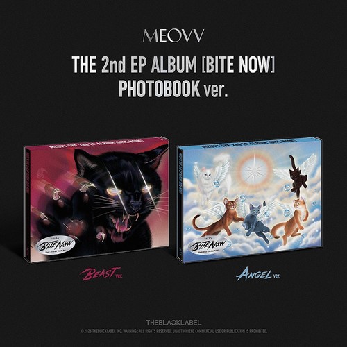 Meovv bite now the - meovv, now]