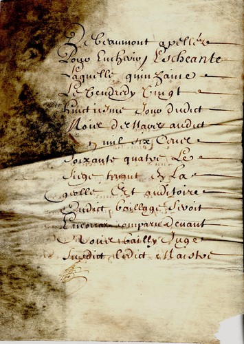 1664 parchemin manuscrit - parchemin,