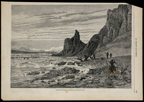 1869 canards dos toile - canards, dos-de-toile