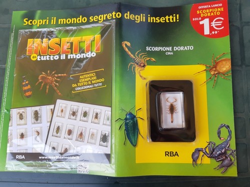 Prima sortie scorpion - sortie, n°1