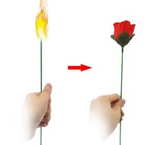 Bâton magique fleur - ,, flamme