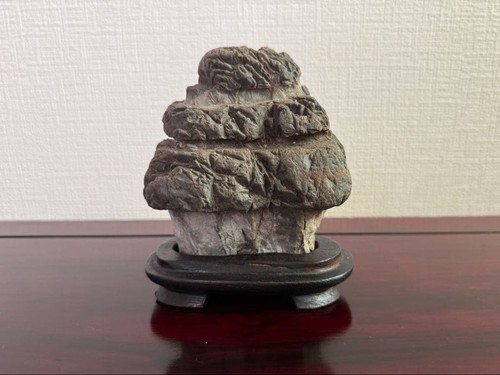 Suiseki bonseki bonsai jardin - bonsai,