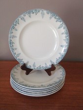 6 Assiettes plates  24 cm  Longwy modèle Florence décor floral vert foncé