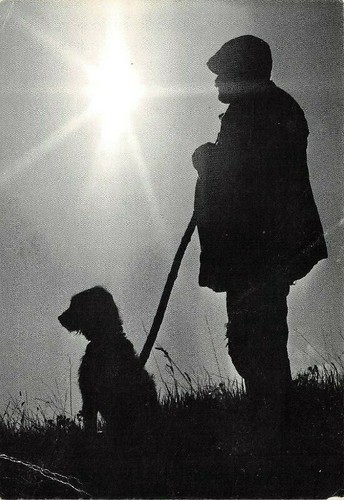 Berger son chien - son,