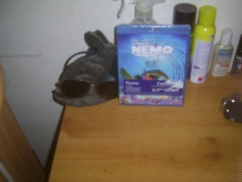 Monde nemo disney - le,