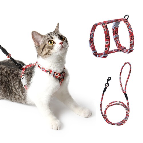 Harnais laisse chat - harnais, chat,