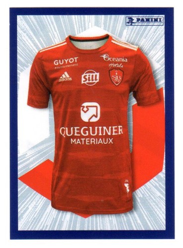 Sticker panini foot 2024 - 2024, ligue