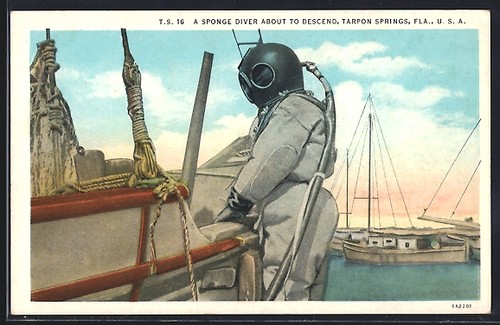 Carte postale tarpon - carte,