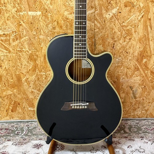 takamine guitare electro