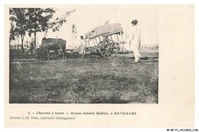 BP-BFP1-0599-MADAGASCAR - ANTISIRABE - Charette a boeufs - Avenue galliéni