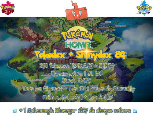 Pokémon epée bouclier 8g - epée, :