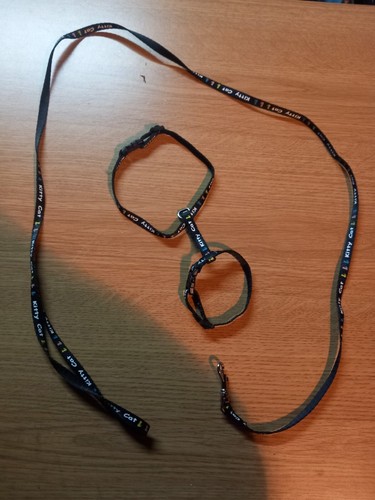Collier laisse pour chats - collier,