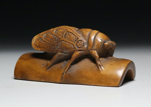 Ancienne cigale japonaise