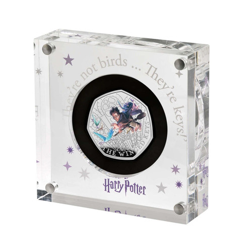Harry potter pièce 50p - potter,