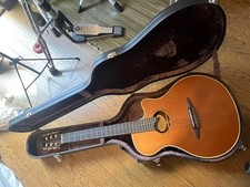 Guitare acoustique électrique