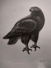 Georges Lucien GUYOT Gravure