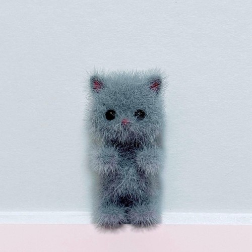 chat persan gris