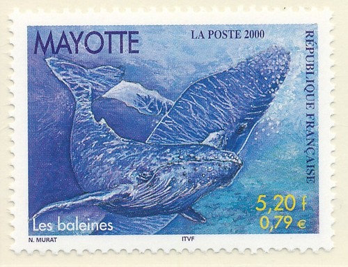Timbre mayotte neuf sans - timbre, 82**