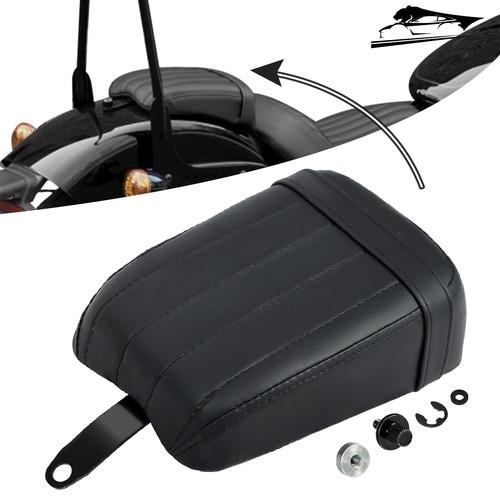 Rear passenger seat - passenger, pillion