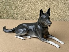 Chien porcelaine allemande
