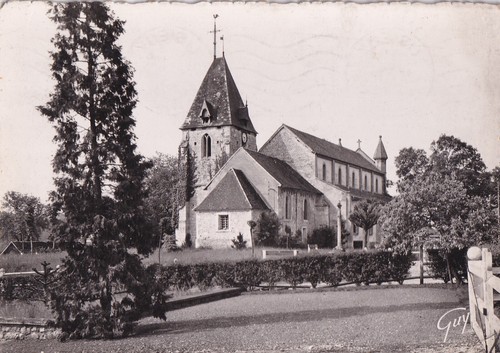 Carte postale 10x15cm postcard