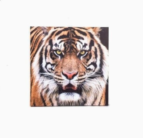 Cadre toile tableau tigre - cadre,
