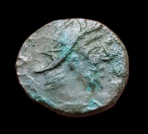 Minimi tetricus frappe - minimi, tetricus,