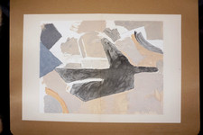 Georges BRAQUE : Les oiseaux