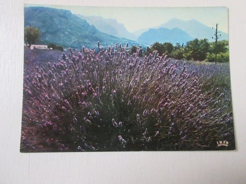 Carte postale alpes - cp,