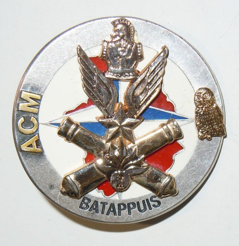 Insigne bataillon appui de - insigne,