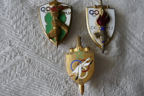 Insignes militaire centre - insignes,