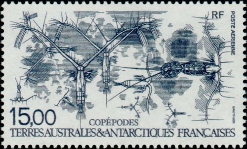 Timbre taaf 129 neuf sans - pa,