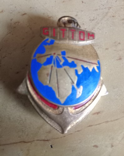 Insigne gitdm groupe - -,
