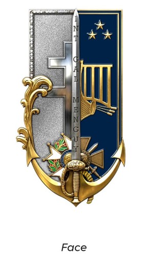 Insigne promotion int - insigne, "int-gal