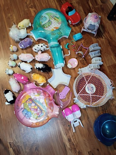 Zhu pets hamsters huge - pets,