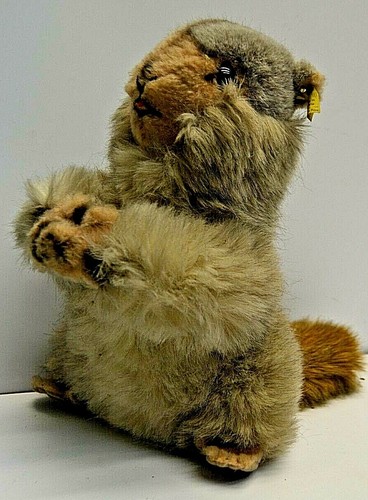 Ancien castor ours peluche - ancien,