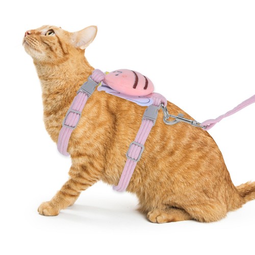 Harnais chat multifonctionnel - chat,